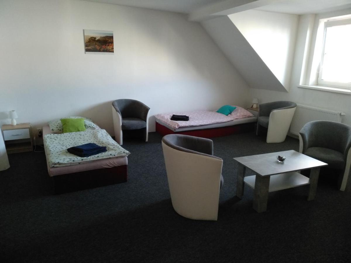 Apartmany Litvinov Centrum ภายนอก รูปภาพ