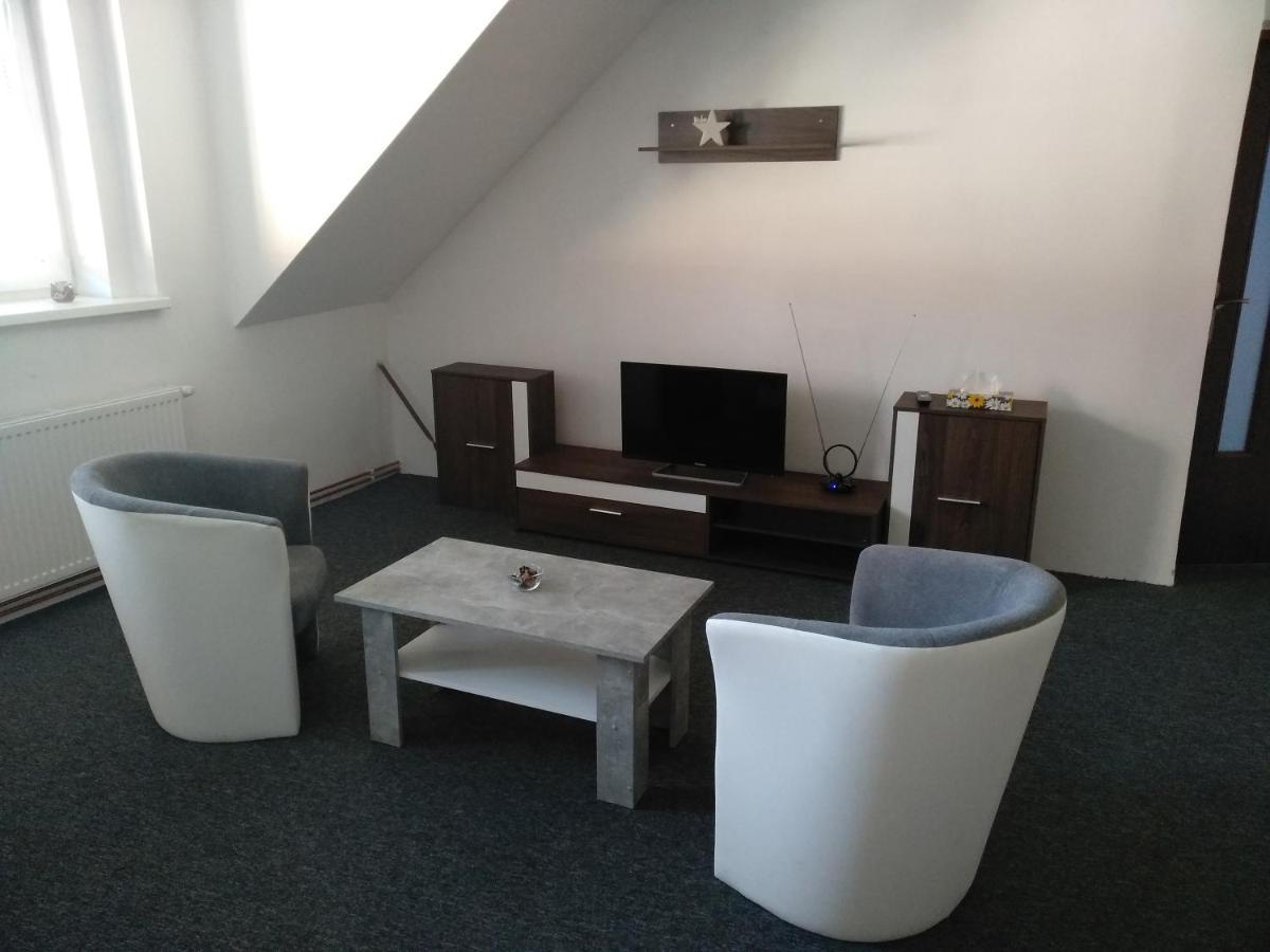 Apartmany Litvinov Centrum ภายนอก รูปภาพ
